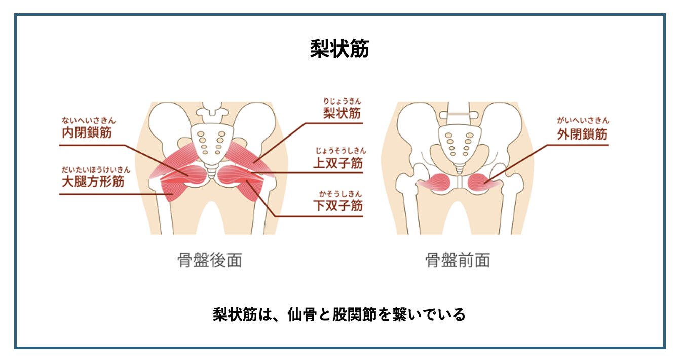 自宅でできるプレピラティス-美脚編