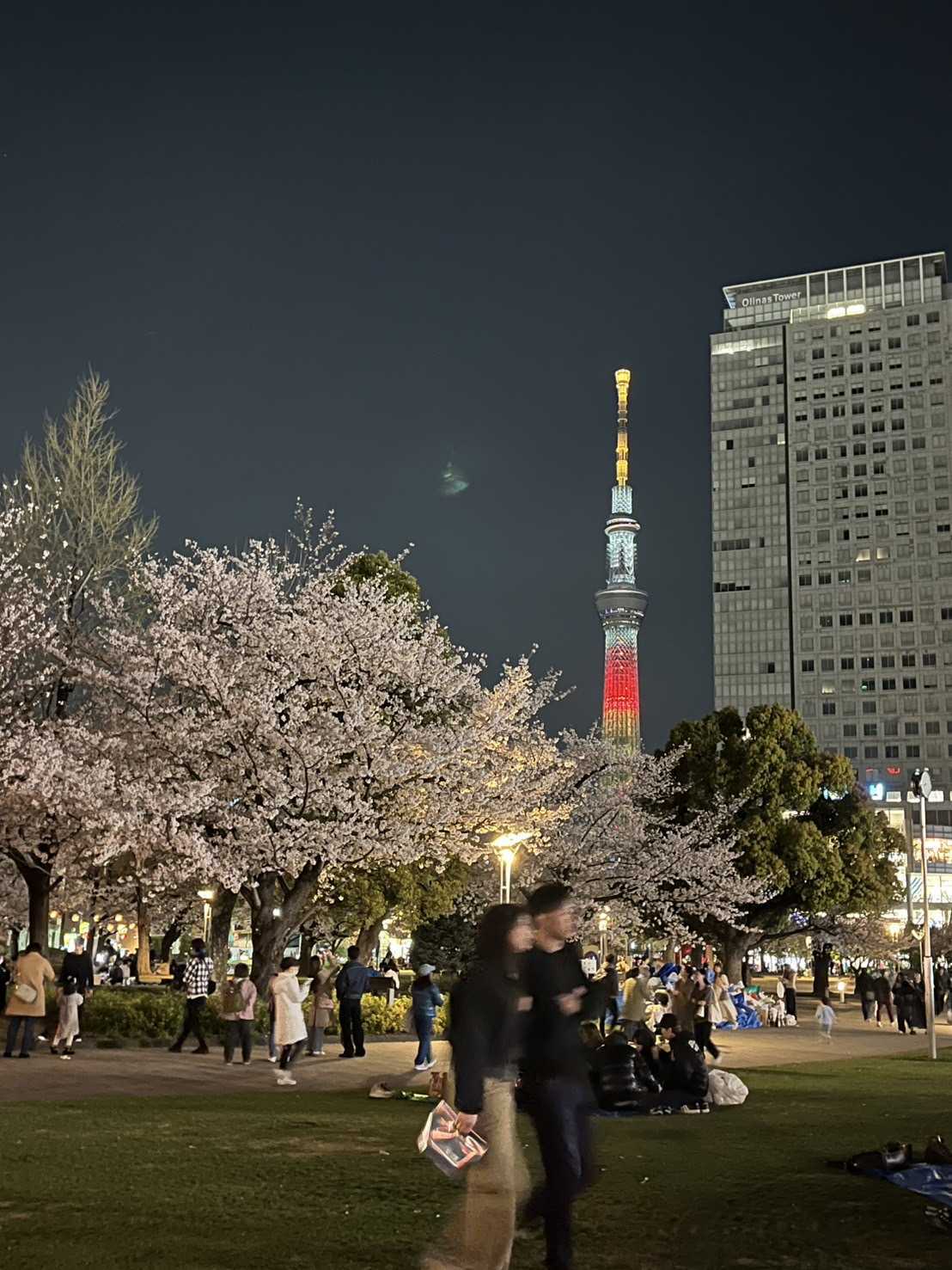 【イベント報告】錦糸町スタジオ お花見